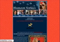 Sites similar to blumoonyorkies.com