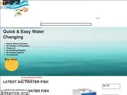 Sites similar to blureef.com