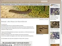 Sites similar to blutegelbehandlung.eu