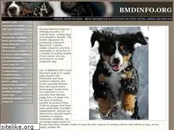 Sites similar to bmdinfo.org