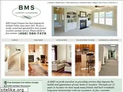 Sites similar to bmscarpetcleaners.com