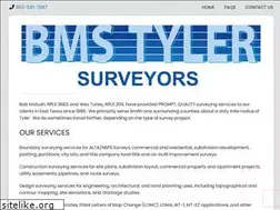 Sites similar to bmstyler.com