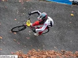 Sites similar to bmx-veitsch.at