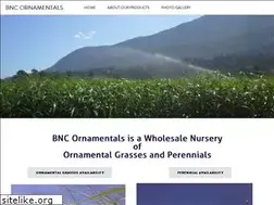 Sites similar to bncornamentals.com