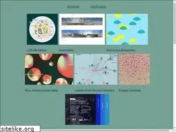 Sites similar to bndndr.it