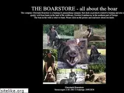 Sites similar to boarstore.com