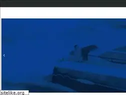 Sites similar to boatshowchina.cn