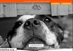 Sites similar to bobbiandthestrays.org
