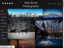Sites similar to bobbondphotography.com