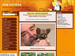 Sites similar to bobdvorak.cz