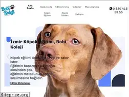 Sites similar to bobikoleji.com