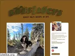 Sites similar to bobsandlucys.com