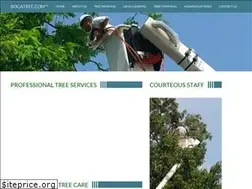 Sites similar to bocatree.com