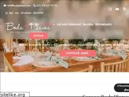 Sites similar to bodaplanes.com