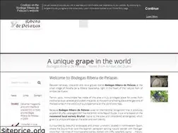 Sites similar to bodegasriberadepelazas.com