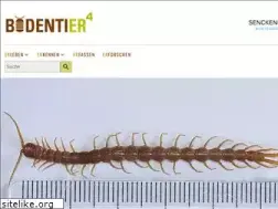 Sites similar to bodentierhochvier.de