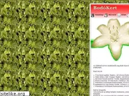 Sites similar to bodokert.hu