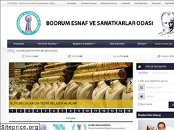 Sites similar to bodrumeso.org.tr