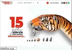 Sites similar to bodrumisitme.com