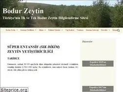 Sites similar to bodurzeytin.gen.tr