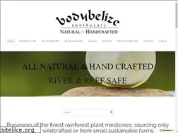 Sites similar to bodybelize.com