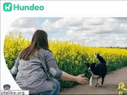 Sites similar to bodyshape.de
