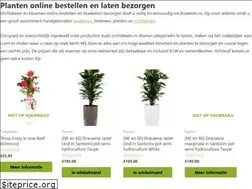 Sites similar to boeket4u.nl