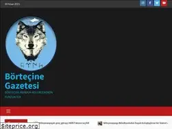 Sites similar to boertechinegazetesi.com