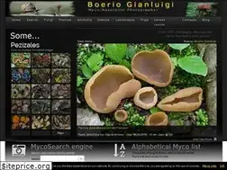 Sites similar to bogiphoto.com