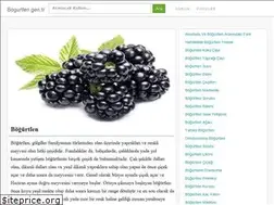 Sites similar to bogurtlen.gen.tr