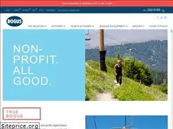 Sites similar to bogusbasin.org