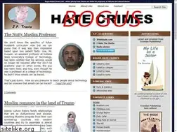 Sites similar to bogushatecrimes.com