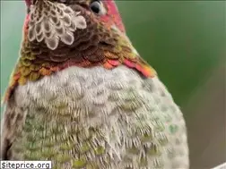 Sites similar to boisecreekfarm.com