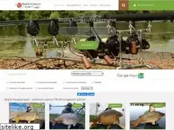 Sites similar to bojlistavak.hu