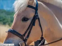 Sites similar to bokranch.org