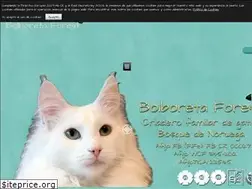 Sites similar to bolboretaforest.com