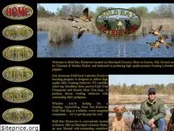 Sites similar to boldbayretrievers.com