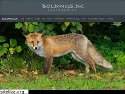 Sites similar to boldings.dk