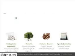 Sites similar to boletosdeorum.pt