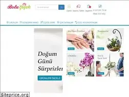 Sites similar to bolucicek.net