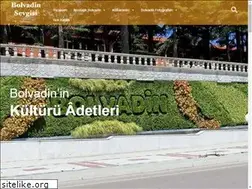 Sites similar to bolvadinsevgisi.com