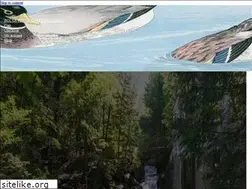 Sites similar to bolzarte.com
