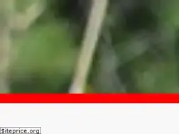 Sites similar to bomberosdenuevoleon.org