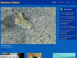 Sites similar to bonairereef.com