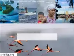 Sites similar to bonairevisionfilms.com
