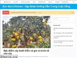 Sites similar to bonbonchicken.com