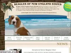 Sites similar to bonesbeagles.org