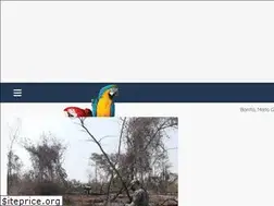 Sites similar to bonitonoticias.com.br