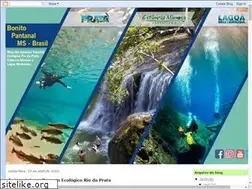 Sites similar to bonitopantanal.blogspot.com