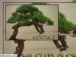 Sites similar to bonsai-club-blesois.fr